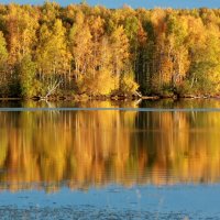 Осень в зеркало смотрелась... :: Нэля Лысенко