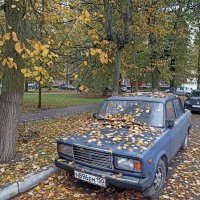 Осень всюду. :: Михаил Столяров