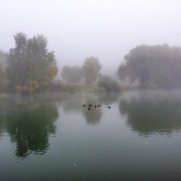 Туман. :: Владимир Безбородов