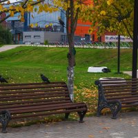 Осень в городском парке. :: Виктор Евстратов