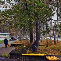 Поздняя осень Дождь в городе! :: Владимир 