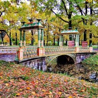 В парке осенью - Китайский мостик :: Сергей 