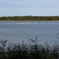 На озере :: Liudmila LLF