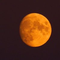 луна - восход :: Alisa Koteva 