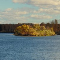 Осень на реке. :: nadyasilyuk Вознюк