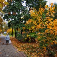 Осень жизни и осень года :: Андрей Лукьянов