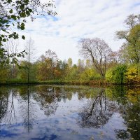 Осенний пруд ... :: Лариса Корженевская