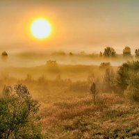 Солнечный свет и туман :: Юрий Стародубцев
