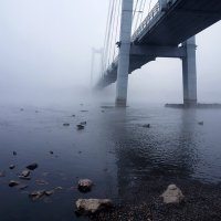 В тумане по вантовому мосту :: Екатерина Торганская