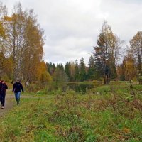 В осеннем парке :: Вера Щукина