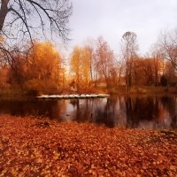 Заметьте, осень — больше сезон души, нежели природы. .. :: Tatiana Markova