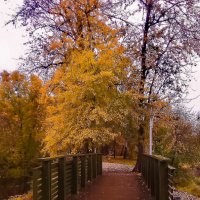 Осенний мостик :: Сергей Кочнев