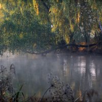 Утро на реке :: Сергей Шабуневич