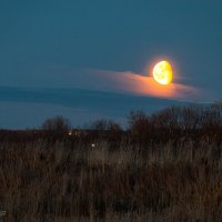 Око восходящей луны :: Николай Зиновьев