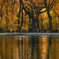 Осень золотая :: Pavel Blashkin
