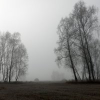 Всё скрылось за густым туманом. :: nadyasilyuk Вознюк