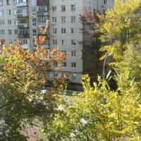 Осень за окном :: Нина Колгатина 