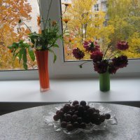 Осенние букетики на окне :: Нина Колгатина 
