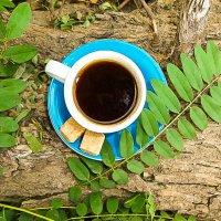 Кофе со вкусом природы :: Ксения смирнова