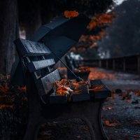 Дождливая осень! :: Игорь Геттингер (Igor Hettinger)