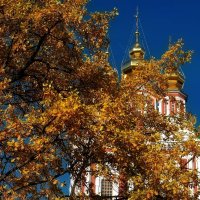 Купола Преображенской церкви над северными воротами. :: Татьяна Помогалова