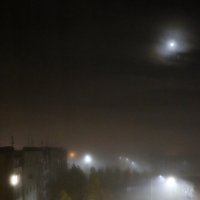 Туман в вечернем городе :: Ольга 