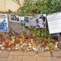 жертвам немецкой оккупации(площадь Свободы) :: Светлана Баталий