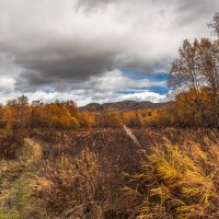 ... :: Евгений(Жора) Житников