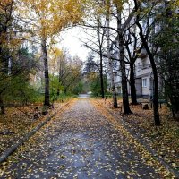 Городской двор осенью :: Нина Колгатина 