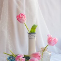 Натюрморт с тюльпанами :: Ольга Бекетова