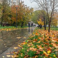 Осенний тротуар :: Игорь Сарапулов