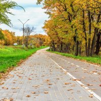 Осень на беговой дорожке :: Юрий Стародубцев