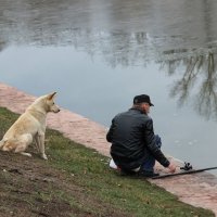 В парке. :: Венера Чуйкова