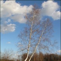 Осень на пруду :: Людмила Смородинская