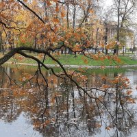 Осень в Михайловском саду :: Наталья Герасимова