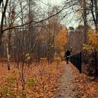 Октябрь уходит еле слышно, как шуршание листвы в октябре :: Татьяна Помогалова