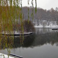 Последние краски осени. :: Борис Бутцев