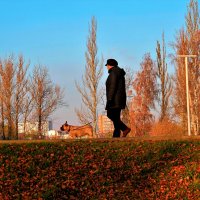 Утепляемся, первое ноября, первый день поздней осени. :: Татьяна Помогалова