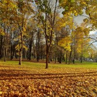 Осенний парк :: Елена Кирьянова