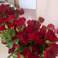 Как хороши, как свежи были розы... :: Yulia Raspopova
