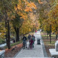 Осень в  Гагаринском   парке :: Валентин Семчишин