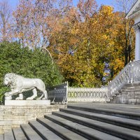 Лев стережёт золото осени в парке Елагина дворца :: Стальбаум Юрий 