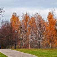 Осень в Царицыно :: Светлана 