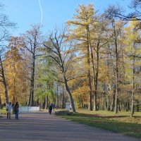 Прогулка в Александровском парке :: Лидия Бусурина