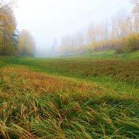 Осенний туман в пойме! :: Владимир 