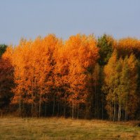 Autumn :: Сергей Симаков
