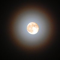 луна в тумане (09.11.2022 в 21:20) :: Alisa Koteva 
