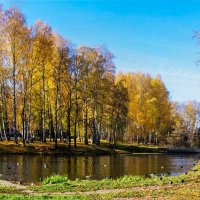 Осенний пруд :: Александр Семенов