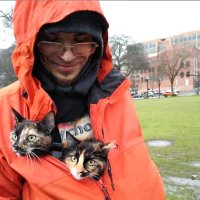 Одинокий мужчина и его неразлучные кошки :: Владимир Никольский (vla 8137)