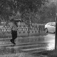 Просто летний дождь :: fotostritSNA 